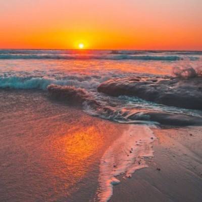 星空体育在线网页版